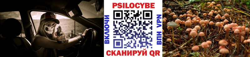 Купить где  Волгоград  Галлюциногенные грибы Magic Shrooms 
